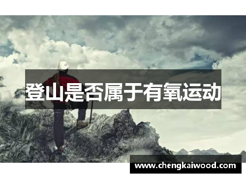登山是否属于有氧运动